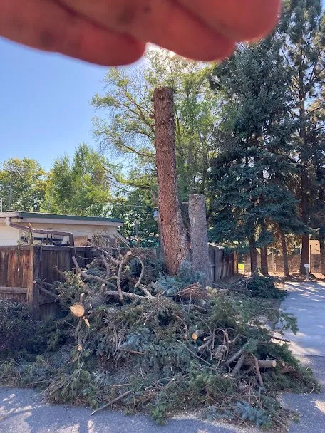 Top-rated residential landscaping in Parma, ID - GreenWorks Services