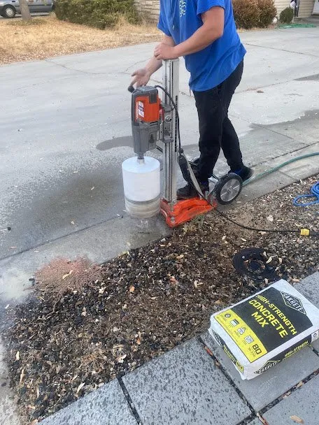 Affordable yard cleanup service experts serving Parma, ID - GreenWorks Services