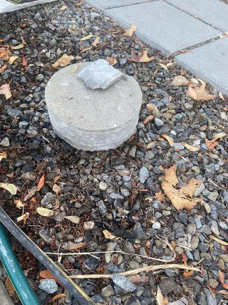 Top-rated lawn mowing service experts serving Parma, ID - GreenWorks Services