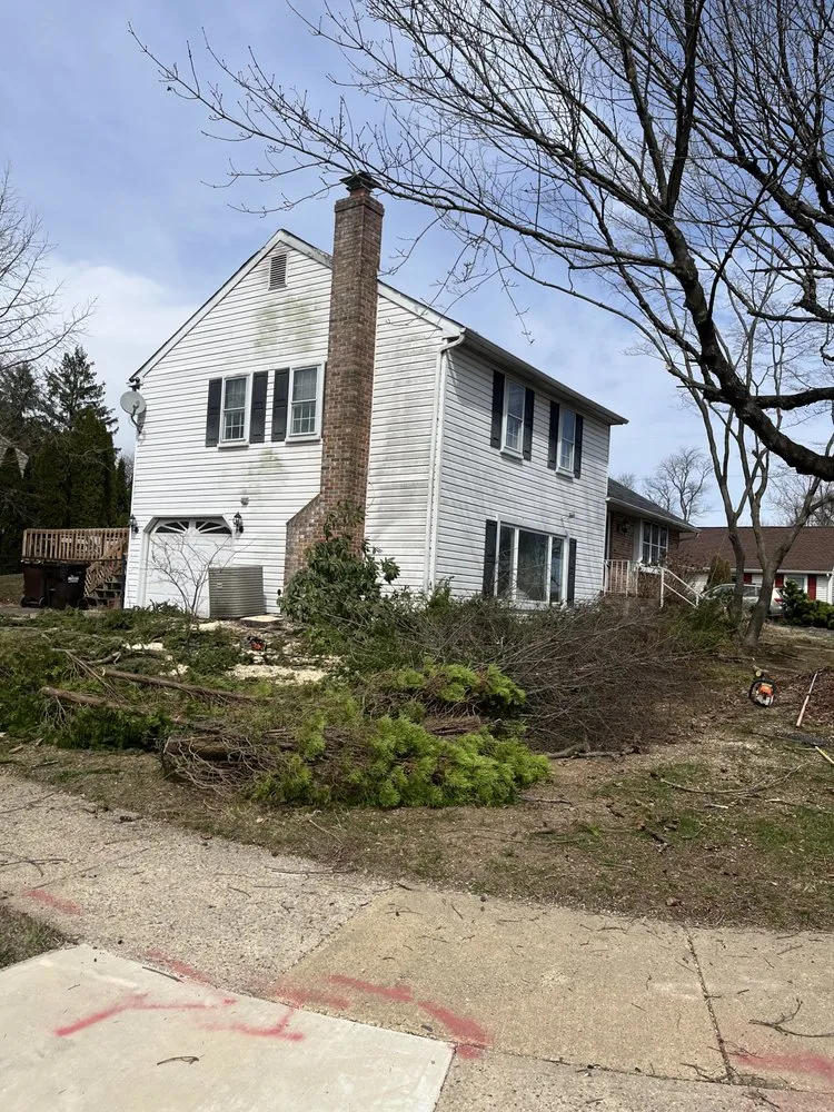 Affordable yard maintenance near you in Ewing, NJ by Greenworld James Landscaping