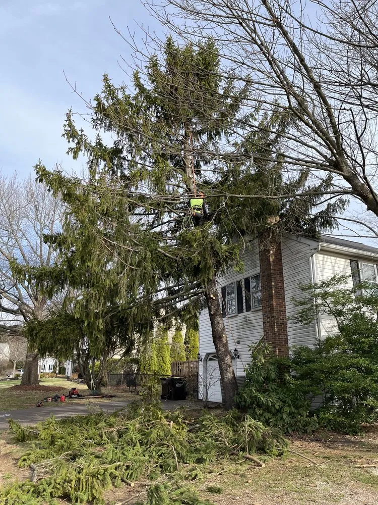 Affordable landscape installation in Ewing, NJ by Greenworld James Landscaping