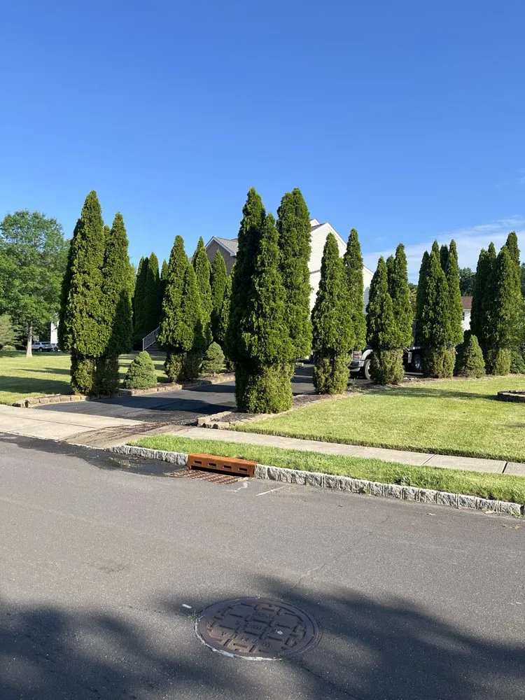 Affordable residential landscaping in Ewing, NJ - Greenworld James Landscaping