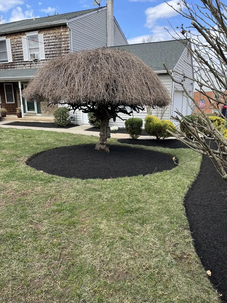 Local yard maintenance experts serving Ewing, NJ - Greenworld James Landscaping