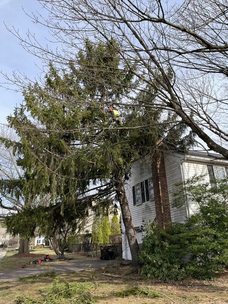 Local landscape design experts serving Hamilton, NJ - Greenworld James Landscaping