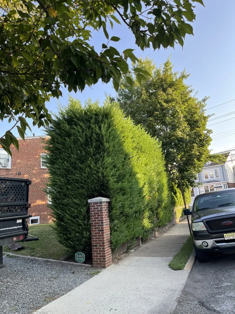 Reliable yard maintenance experts serving Hamilton, NJ - Greenworld James Landscaping