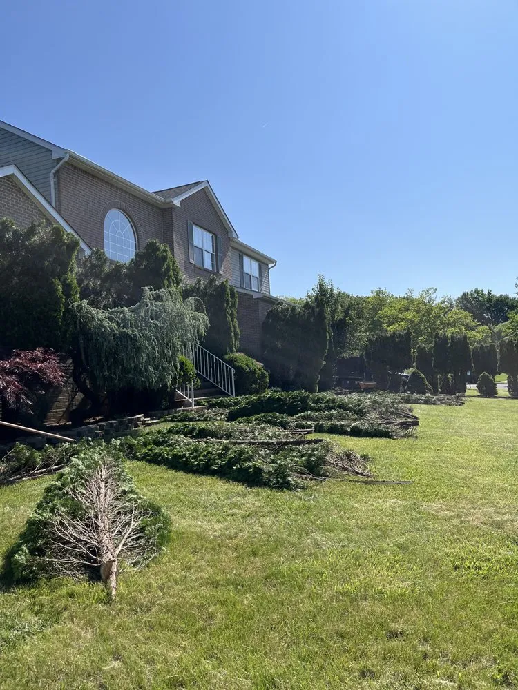 Custom landscape installation in Hamilton, NJ by Greenworld James Landscaping