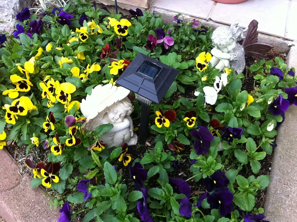 Local landscape design in Keller, TX by GreenWorld Landscape & Maintenance Services, LLC