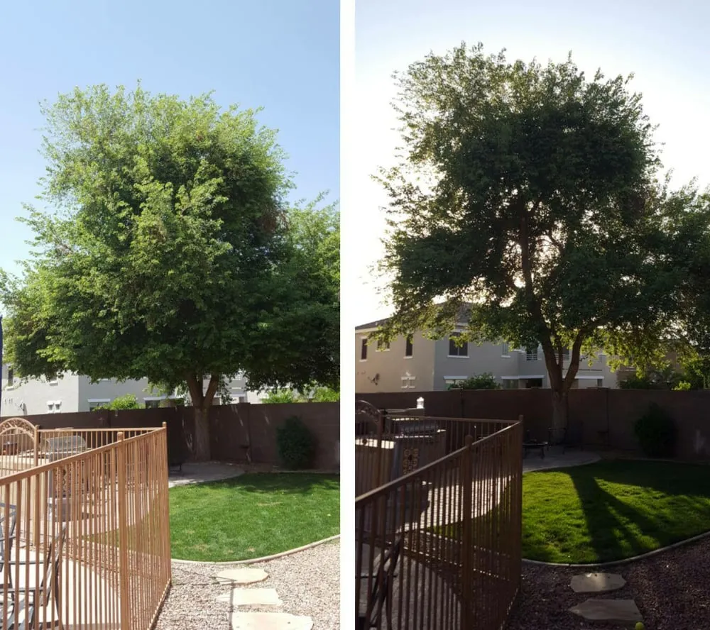 Top-rated residential landscaping in Queen Creek, AZ - Greenworx Landscaping LLC