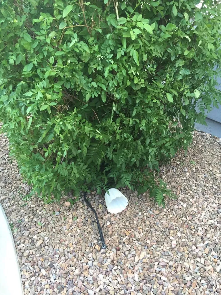 Professional landscape installation in Queen Creek, AZ by Greenworx Landscaping LLC