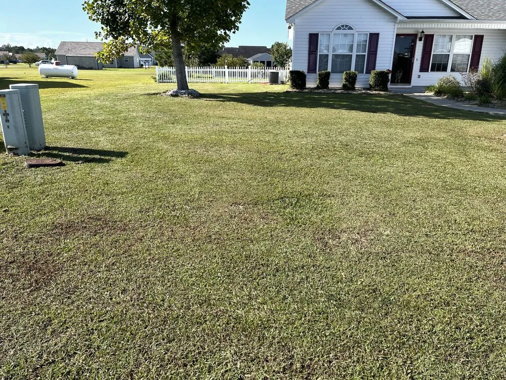 Professional residential landscaping in Loris, SC - Greenworx Lawn Care