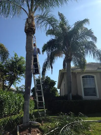 Reliable lawn care service near you in Naples, FL by Greenworx Lawn Care