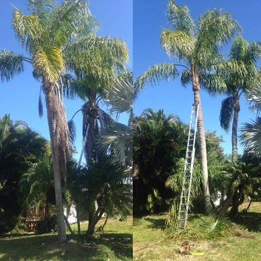 Affordable residential landscaping experts serving Naples, FL - Greenworx Lawn Care