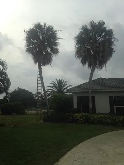 Affordable landscape installation for residential properties across Naples, FL - Greenworx Lawn Care