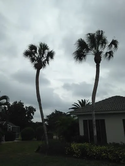 Expert garden landscaping in Naples, FL - Greenworx Lawn Care