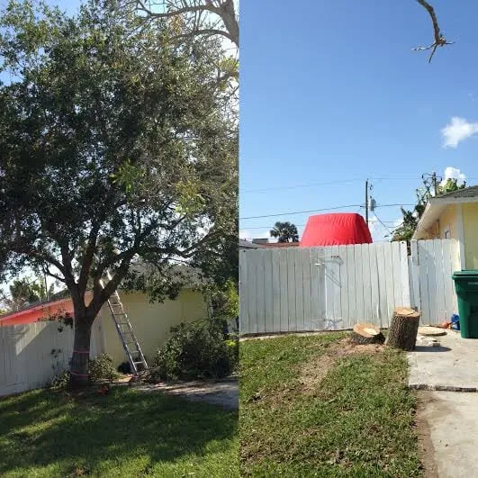 Local lawn care service in Naples, FL by Greenworx Lawn Care