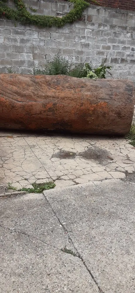 Top-rated lawn care service for year-round maintenance across Short Hills, NJ - Greenworx Services Group