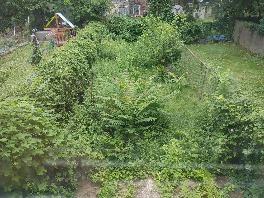 Local lawn care service experts serving Short Hills, NJ - Greenworx Services Group