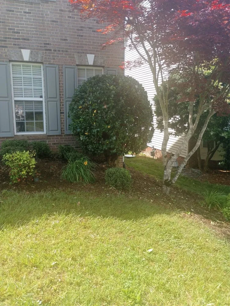 Reliable yard maintenance in Charlotte, NC - GreenWorx180