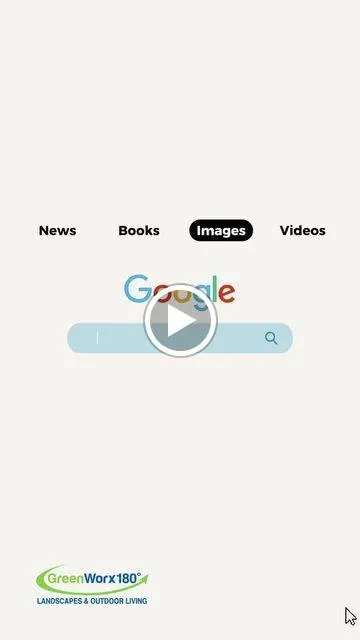 Affordable yard maintenance in Charlotte, NC by GreenWorx180