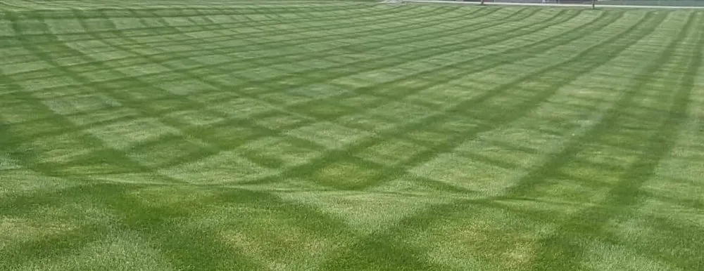 Reliable yard cleanup service for homes in Connersville, IN by Greenworxx