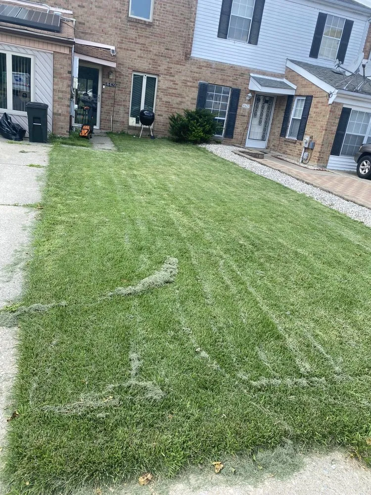 Expert landscaping services near you in Philadelphia, PA by Greenwy Landscaping & Clean Outs