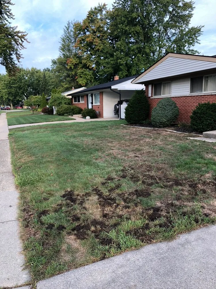 Local landscaping services experts serving Shelby Township, MI - GreenX Lawn and Tree Care