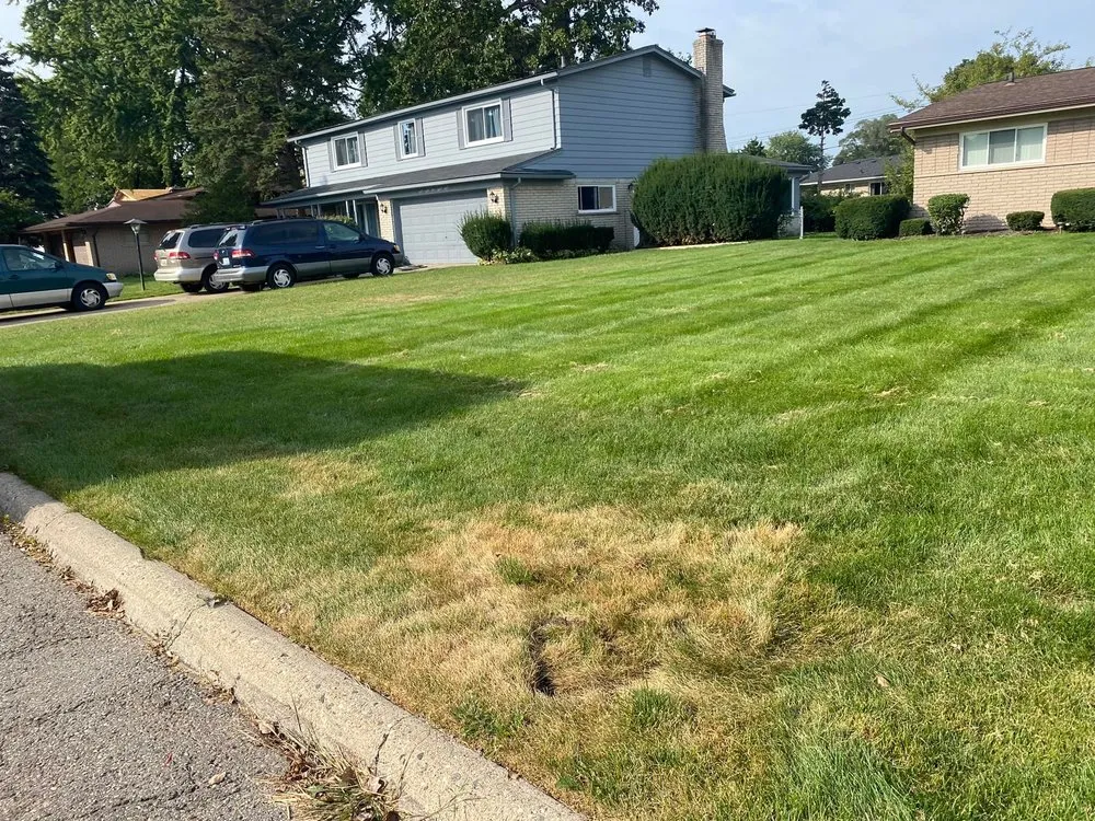 Professional yard maintenance in Shelby Township, MI by GreenX Lawn and Tree Care