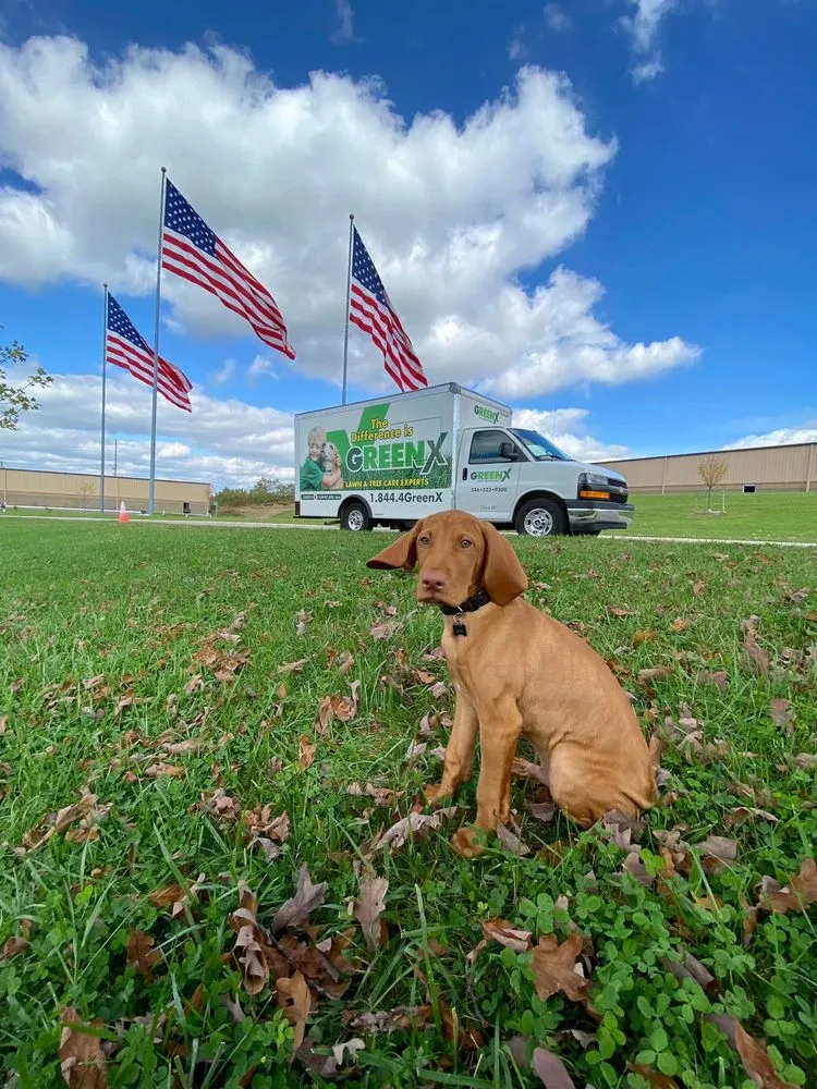 Trusted lawn care service for homes across Shelby Township, MI - GreenX Lawn and Tree Care