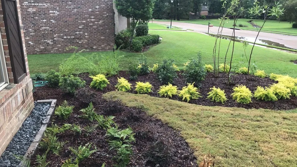 Reliable outdoor landscaping for residential properties across Madison, MS - Greenyard Landscape And Gunite Pool Construction