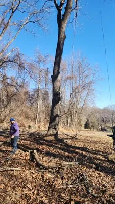 Greenyard Landscaping