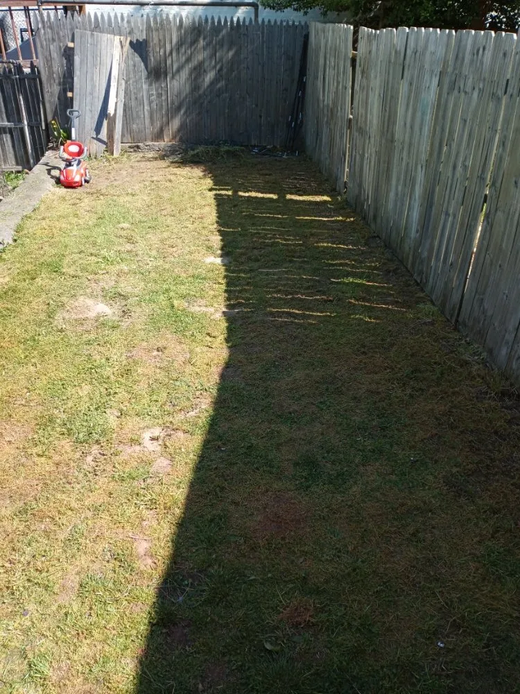 Custom yard cleanup service in Reading, PA by Greenyius Lawncare