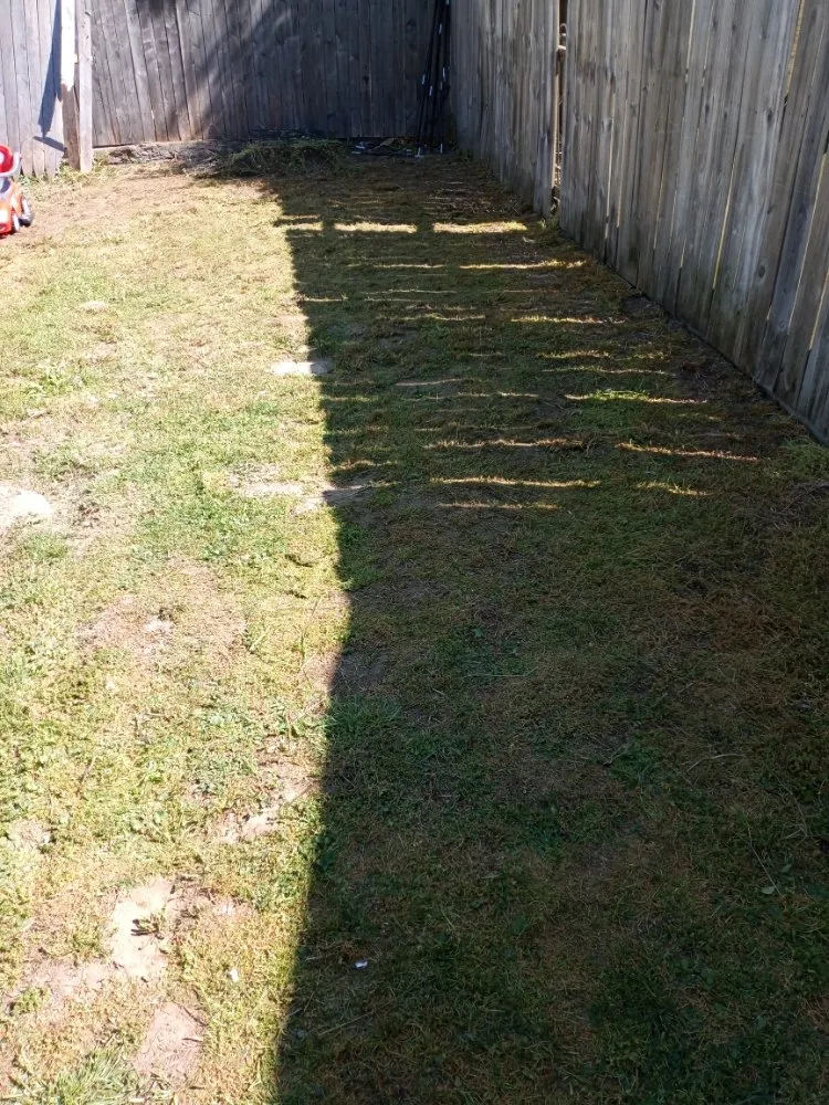 Trusted yard maintenance for homes across Reading, PA - Greenyius Lawncare