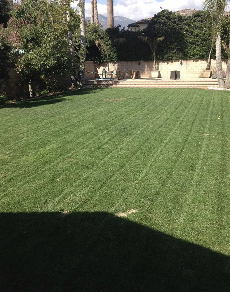 Professional landscape design experts serving San Bernardino, CA - GreenZone Lawncare & Landscaping