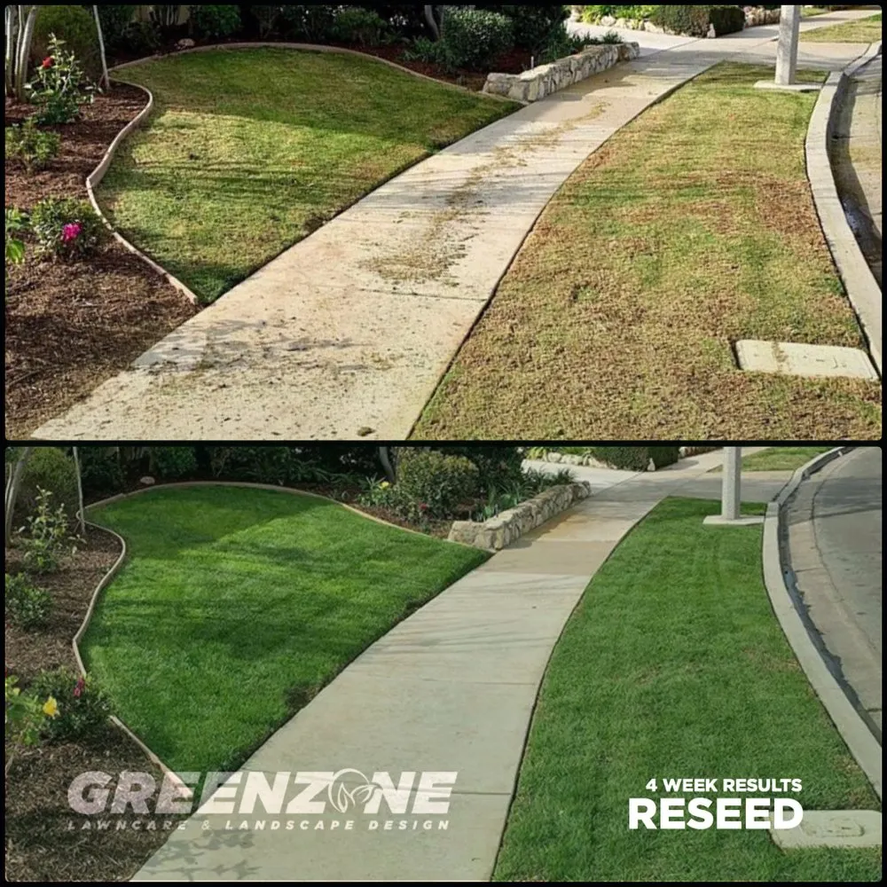 Professional yard cleanup service for beautiful yards in San Bernardino, CA by GreenZone Lawncare & Landscaping