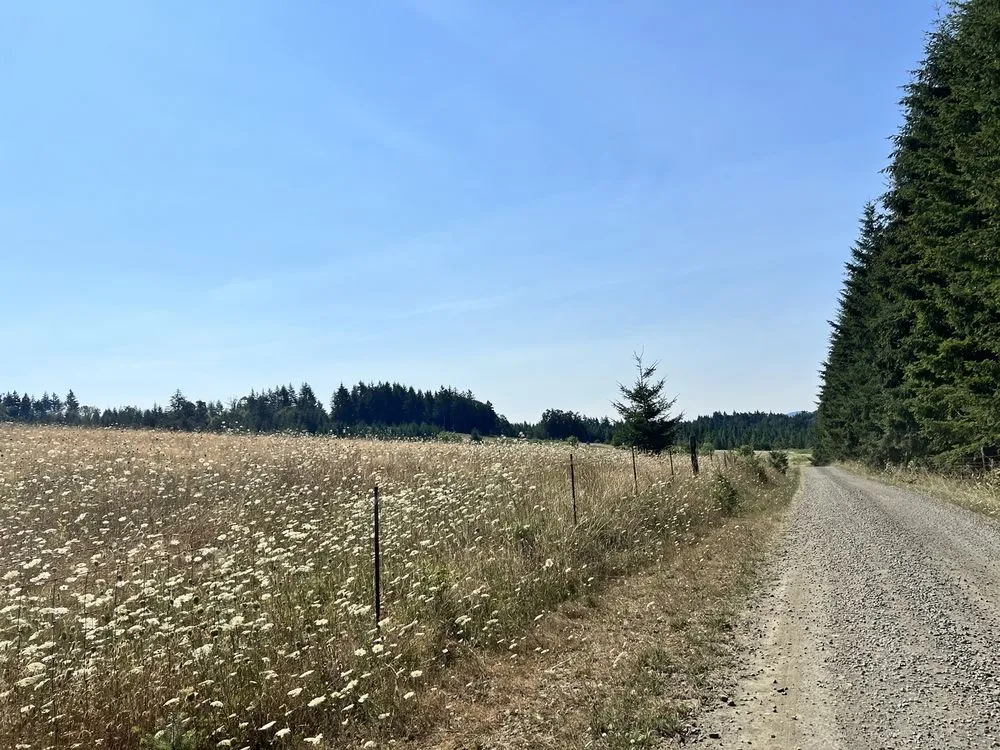 Trusted garden landscaping for residential properties across Salem, OR - Greer Brand Industries