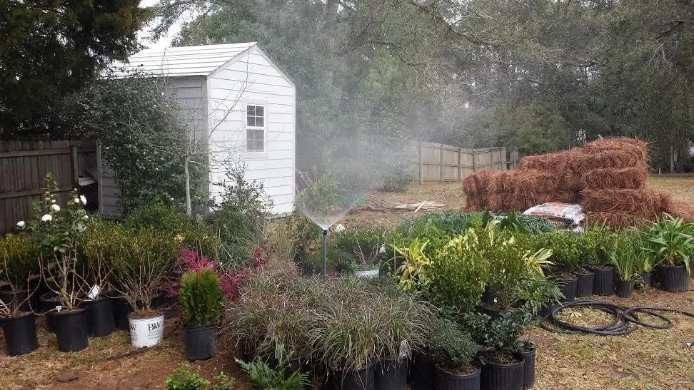 Custom outdoor landscaping in Fairhope, AL by Greer Gardens