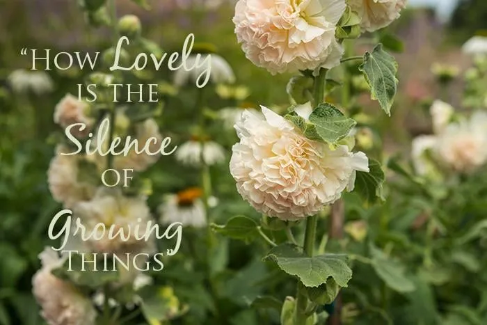 Custom lawn care service near you across Fairhope, AL - Greer Gardens