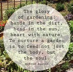 Expert yard maintenance experts serving Fairhope, AL - Greer Gardens