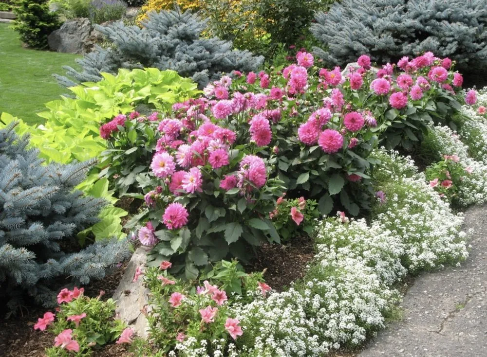 Professional yard maintenance in Boone, NC - Greer Worx