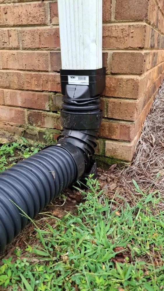 Professional landscaping services for residential properties in Eden, NC by Greer's Heritage Lawn & Maintenance