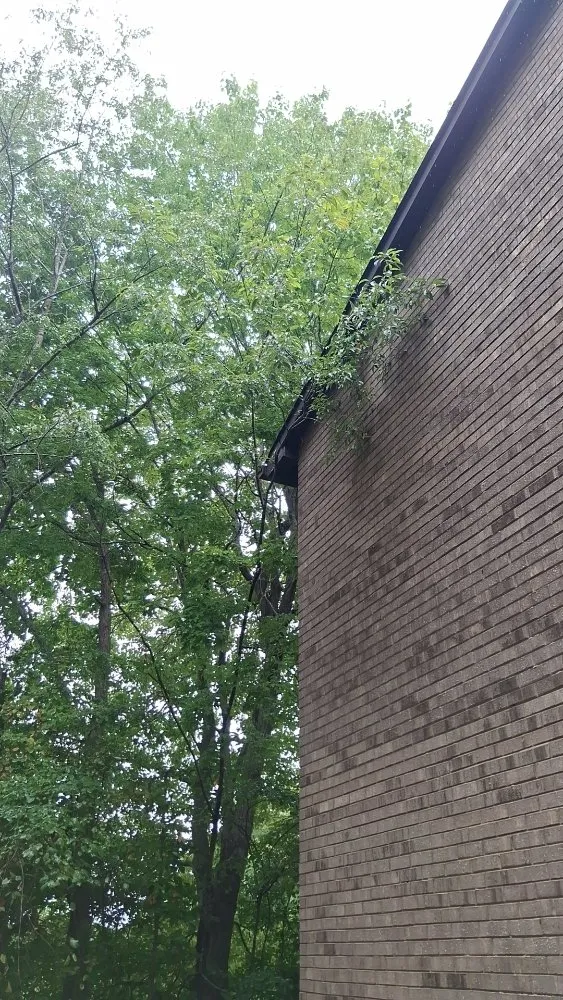 Reliable residential landscaping in Eden, NC by Greer's Heritage Lawn & Maintenance