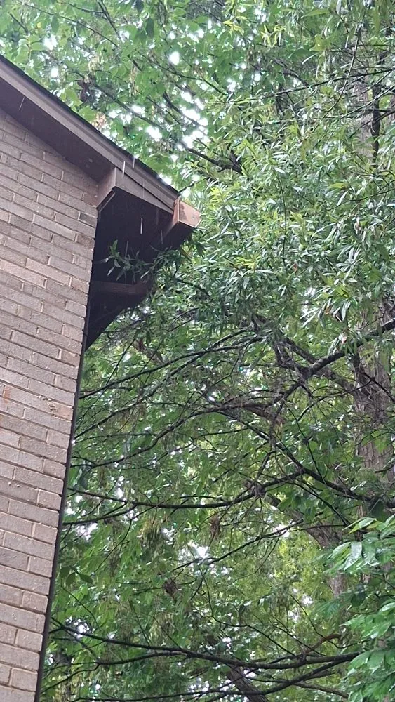 Professional landscaping services for year-round maintenance in Eden, NC by Greer's Heritage Lawn & Maintenance