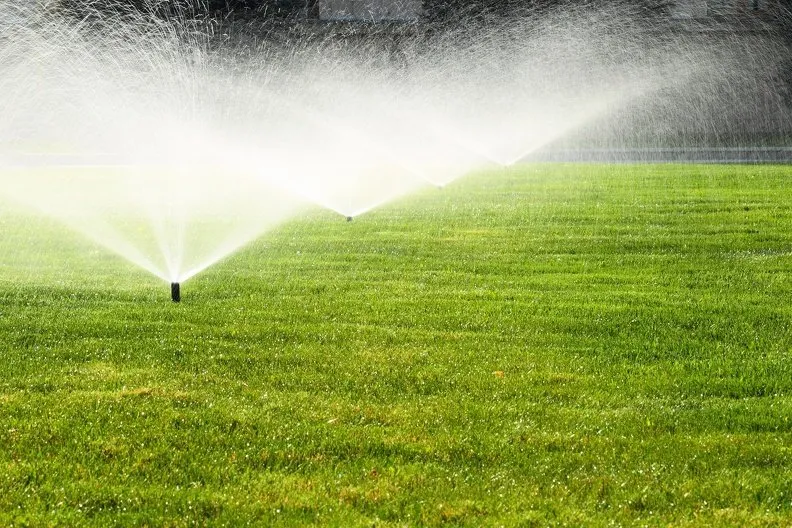 Local yard maintenance in Albany, GA - Grees Irrigation & Lawn Services