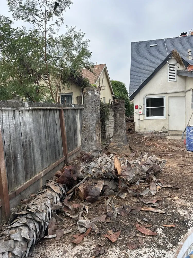 Expert garden landscaping in Farmersville, CA - Greesk Tree Service