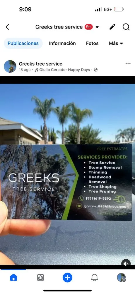 Custom yard cleanup service experts serving Farmersville, CA - Greesk Tree Service