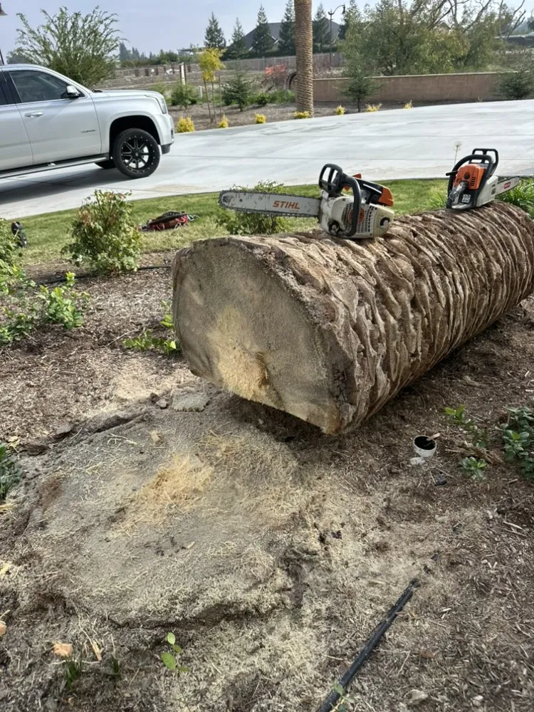 Local garden landscaping in Farmersville, CA by Greesk Tree Service