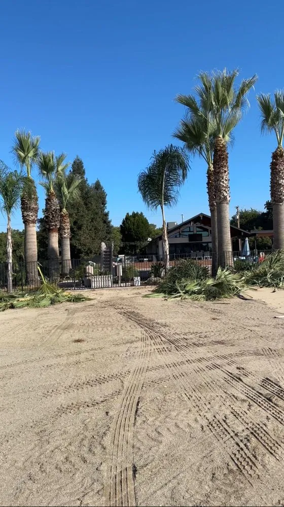 Custom landscape installation for homes in Farmersville, CA by Greesk Tree Service