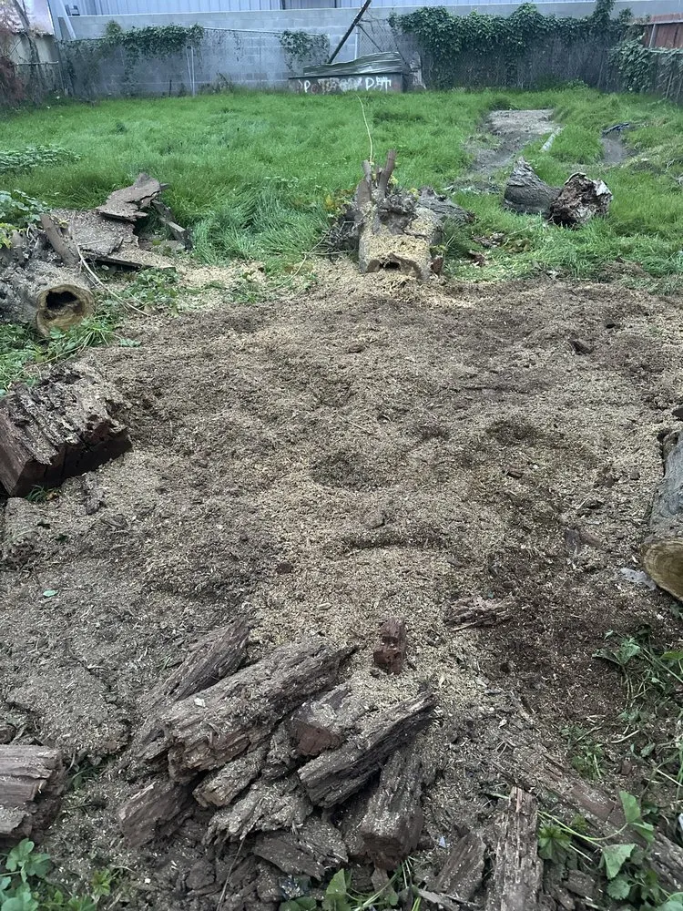 Top-rated landscape installation for outdoor upgrades in Farmersville, CA by Greesk Tree Service