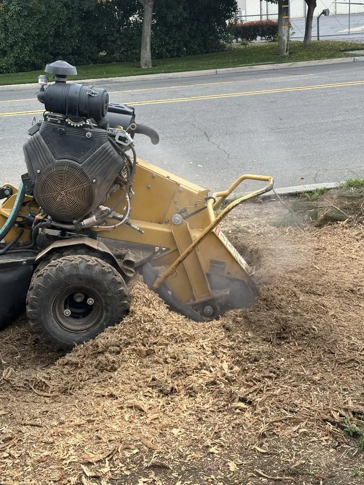 Reliable residential landscaping for outdoor upgrades in Farmersville, CA by Greesk Tree Service