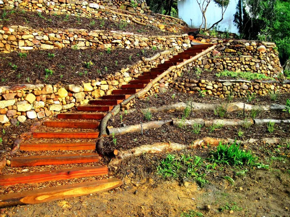 Expert lawn care service in Orlando, FL by Greg Abbott Lawn Care